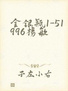 金银瓶1-51996杨敏封面