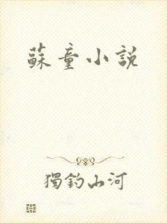 苏童小说
