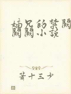 嫡兄的禁阙 华阙阙小说封面