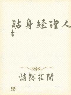 贴身经理人txt