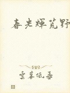 春光辉荒野封面