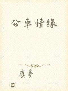 公车情缘