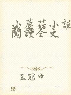 小蘑菇小说免费阅读全文