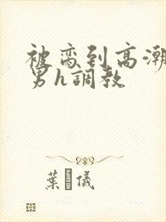 被脔到高潮的直男h调教