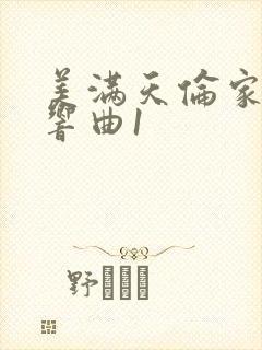 美满天伦家庭交响曲1