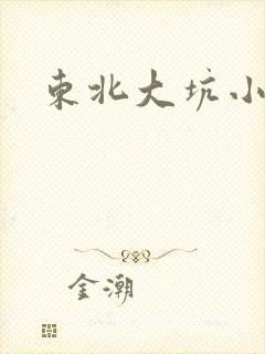 东北大坑小说