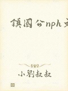 镇国公nph文封面