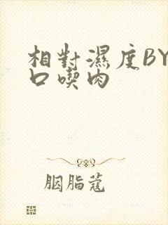 相对湿度BY大口吃肉封面