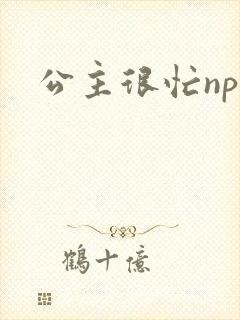 公主很忙npc