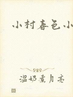 小村春色小说封面