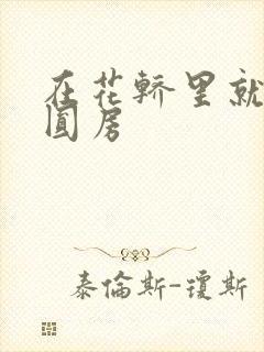 在花轿里就开始圆房封面