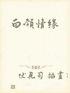 白领情缘