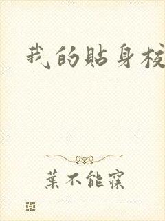 我的贴身校花