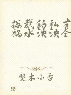 总裁的私有宝贝祸水泱泱全文阅读封面