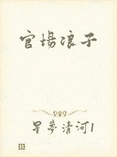官场浪子封面
