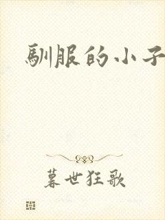 驯服的小子4