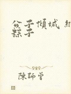 公子倾城 维和粽子封面