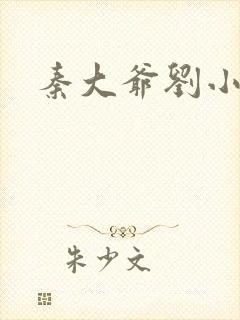 秦大爷刘小静