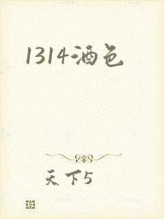1314酒色封面