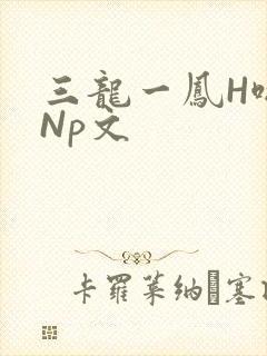 三龙一凤H啪肉Np文