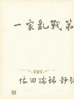 一家乱战第5部封面