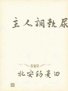 主人调教尿便器