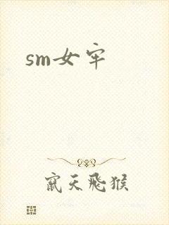 sm女牢