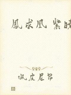 凤求凰 紫晓