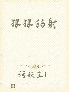 狠狠的射