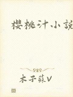 樱桃汁小说封面