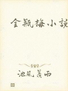 金瓶梅小说在线封面
