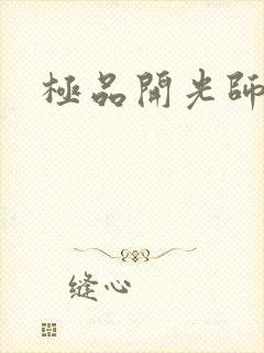 极品开光师
