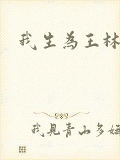 我生为王林北