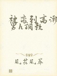 被脔到高潮的直男h调教