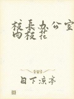 校长办公室里狂肉校花