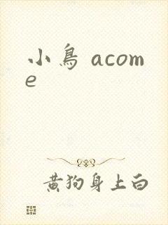 小鸟 acome