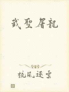 武圣屠龙封面