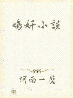 鸡奸小说