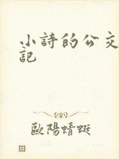 小诗的公交车日记