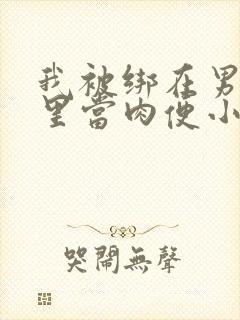 我被绑在男公厕里当肉便小说封面