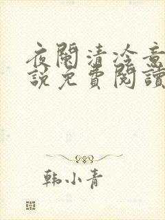 夜阑清冷意欢小说免费阅读封面