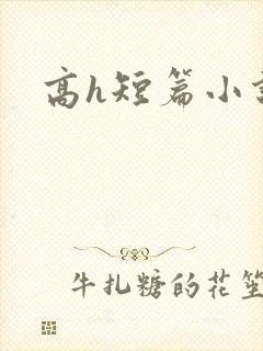 高h短篇小说