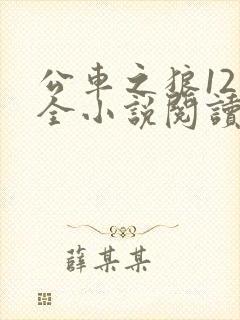 公车之狼12集全小说阅读封面