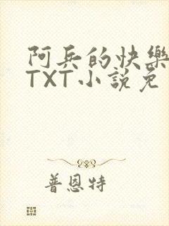阿兵的快乐生活TXT小说免费阅读全章