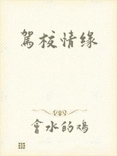 驾校情缘封面