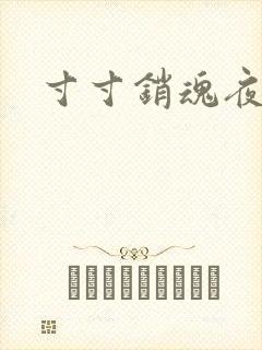 寸寸销魂夜春光