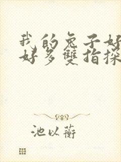 我的兔子好软水好多双指探洞小说封面