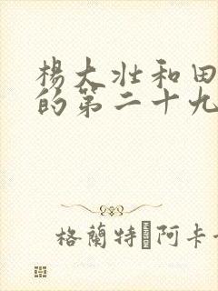 杨大壮和田桂花的第二十九