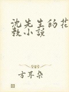 沈先生的花式管教小说封面