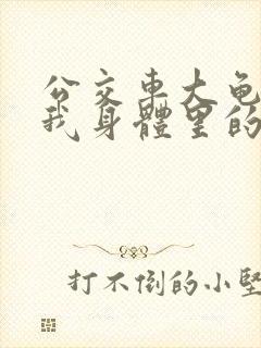 公交车大龟廷进我身体里的小说